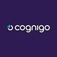 cognigo (acquired by netapp) logo image