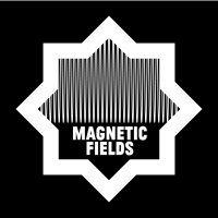 magnetic fields festival logo image