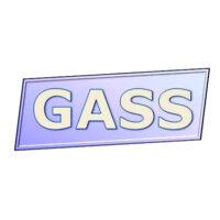 gass automation logo image