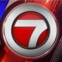 wsvn-tv 7news logo image