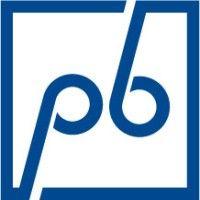 princeton blue, inc. logo image