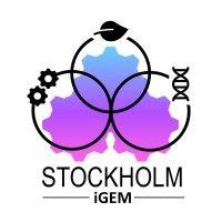 igem stockholm logo image