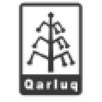 qarluq media tech logo image