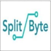 splitbyte inc logo image