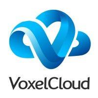 voxelcloud logo image