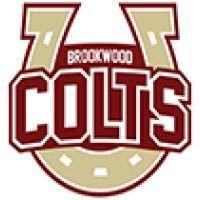 brookwood elementary school logo image