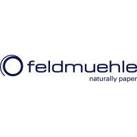 feldmuehle gmbh logo image