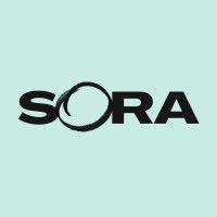 sora schools logo image