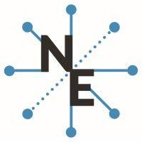 the network effect llc logo image