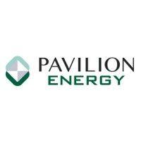 pavilion energy logo image