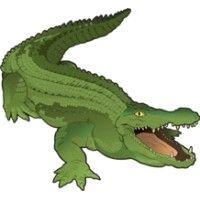 crocodile marketing logo image