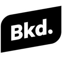 bkd group logo image