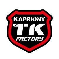 team kapriony logo image