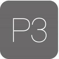 p3 search & selection logo image