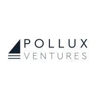 pollux ventures logo image