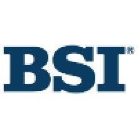 business software, inc. logo image