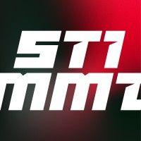 stimmt logo image