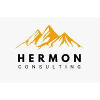 hermon consulting limited logo image