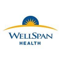 wellspan health care services logo image