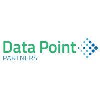 data point partners logo image