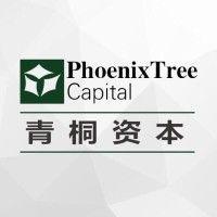 phoenixtree capital logo image