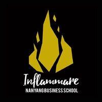 nbs inflammare logo image