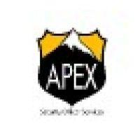 apex security and convention services inc