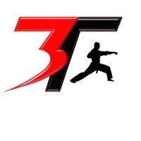 3t championship martial arts logo image