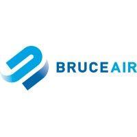 bruce air filter company logo image