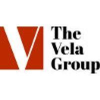 the vela group llc logo image