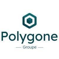 polygone groupe logo image