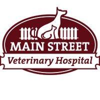 main street veterinary hospital