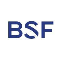 boies schiller flexner llp logo image