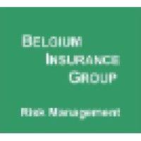 belgium insurance group logo image