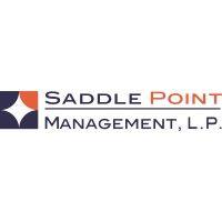 saddle point management, l.p.