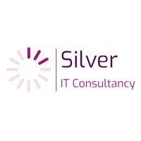 silver it consultancy logo image