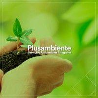 plusambiente logo image