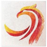 phoenix rise capital logo image