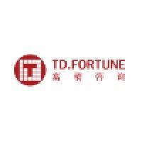 td.fortune consulting co,ltd. logo image