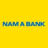 nam a bank logo image