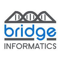 bridge informatics logo image