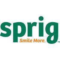 sprig logo image