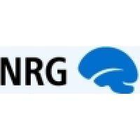 neuroinformatics research group logo image