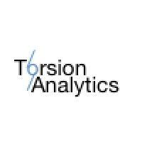 torsion analytics logo image