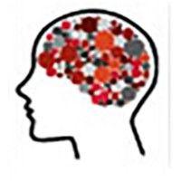 center for translational cognitive neuroscience logo image