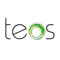 teos 1988 logo image