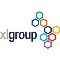 xl global group ltd logo image