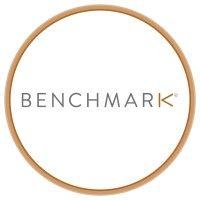 benchmark consulting global ltd logo image