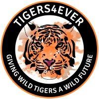 tigers4ever