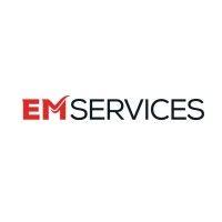 em services pte ltd logo image